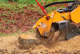 How Our Tree Care Process Works  in  Mojave, CA